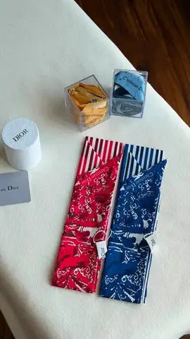 DIOR Twilly Scarf in Dubai
